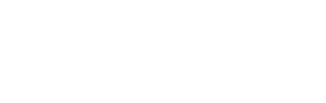 Real Cardamom Pods